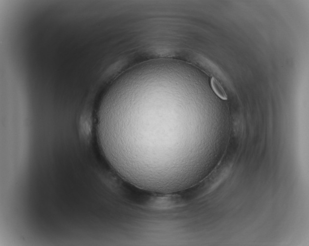 X0000102000072200807251254