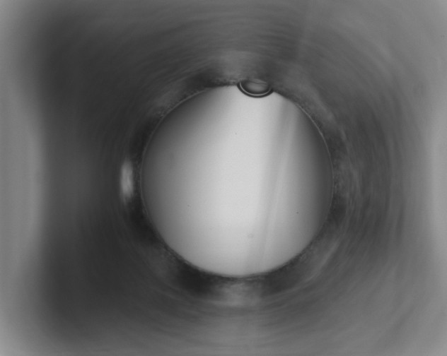 X0000102000075200807251254