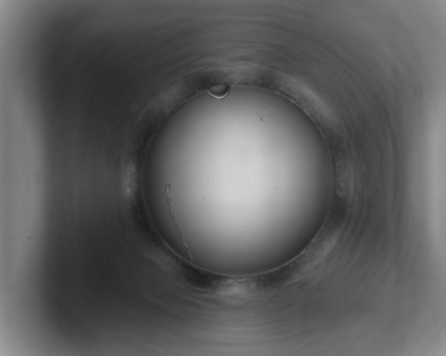 X0000102000077200807251254