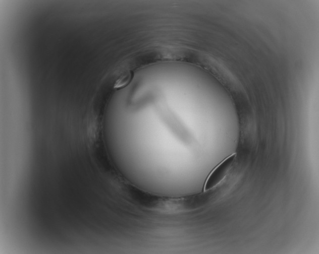 X0000102000078200807251254