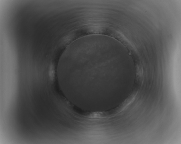 X0000102000080200807251254