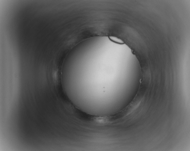 X0000102000088200807251254