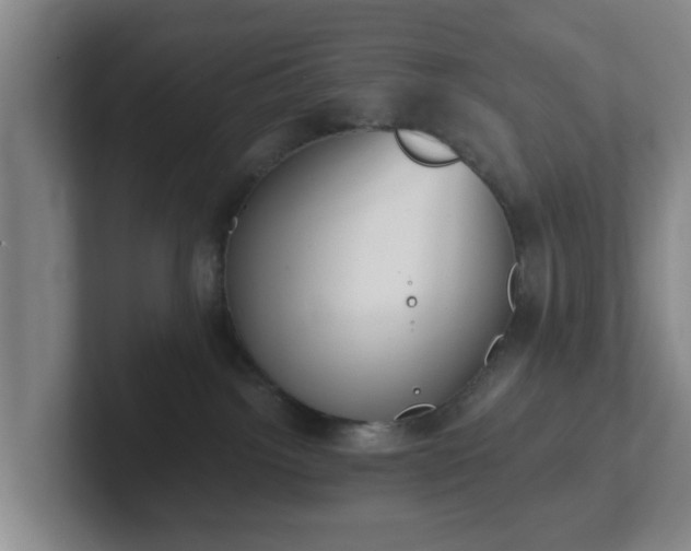 X0000102000092200807251255