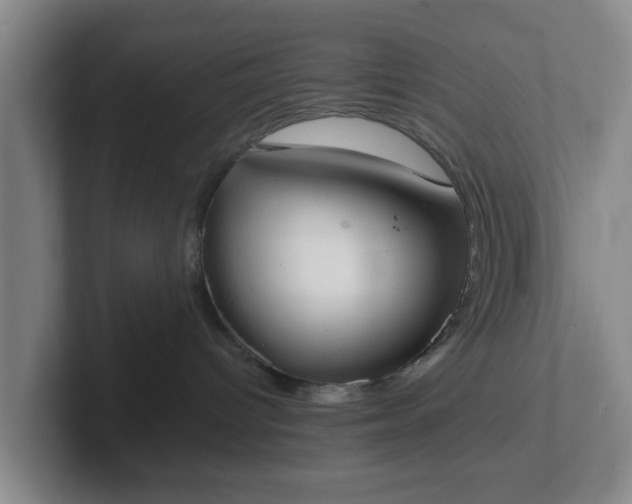 X0000102000096200807251255