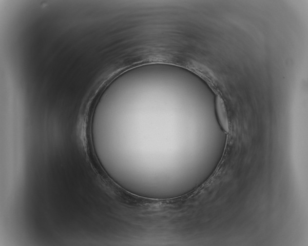 X0000102000098200807251254