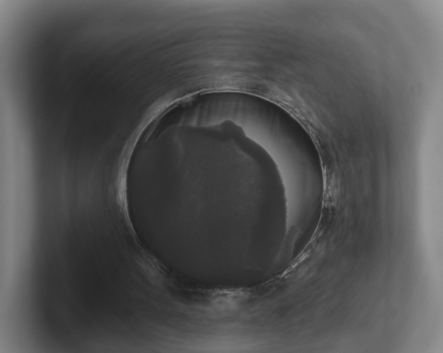 X0000102000099200807251254