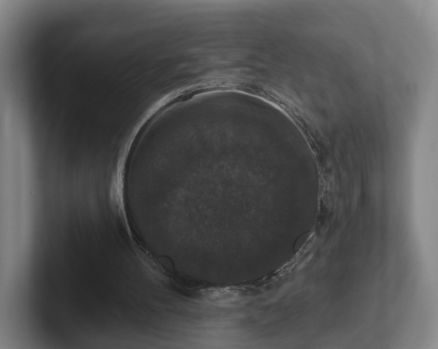 X0000102000100200807251254