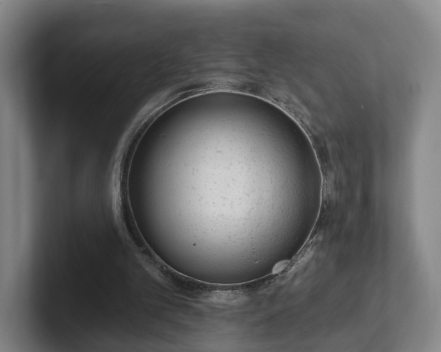 X0000102000101200807251254