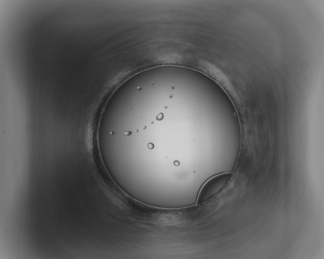 X0000102000106200807251254