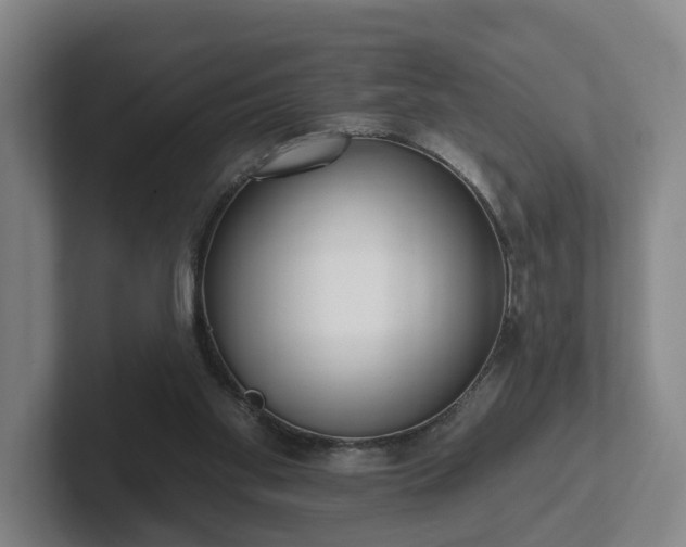 X0000102000109200807251254