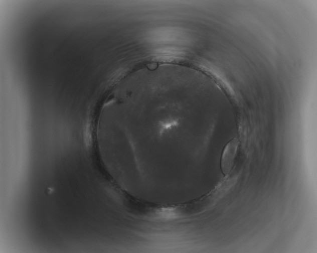 X0000102000114200807251254