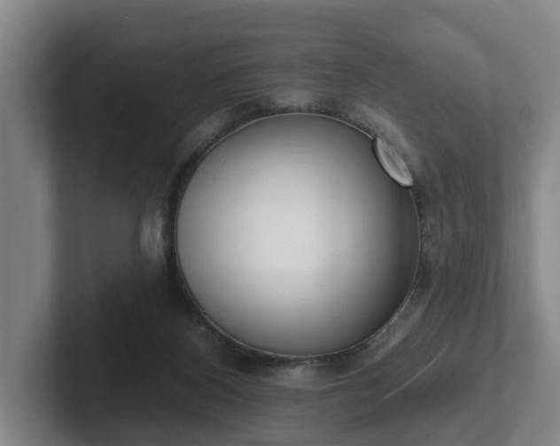 X0000102000116200807251254