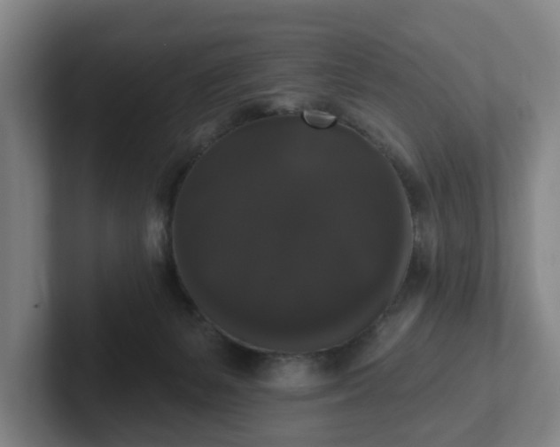 X0000102000127200807251254