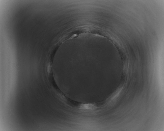 X0000102000137200807251253