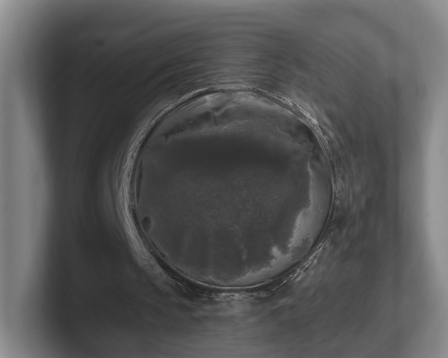 X0000102000145200807251253