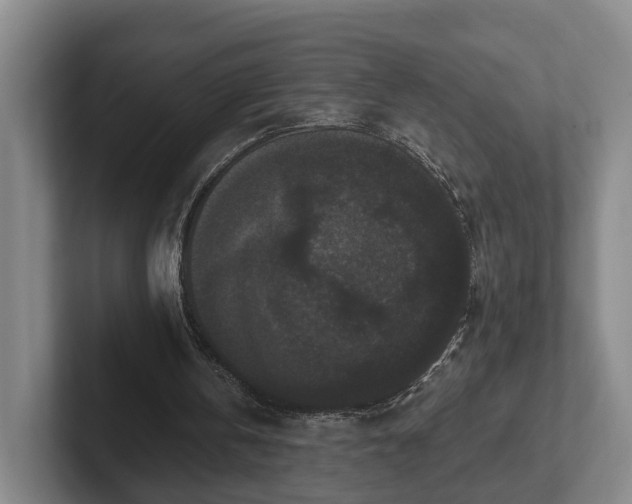 X0000102000146200807251253