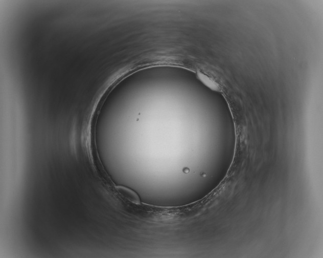 X0000102000148200807251253