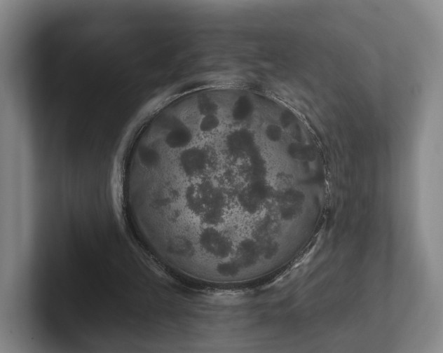 X0000102000149200807251253