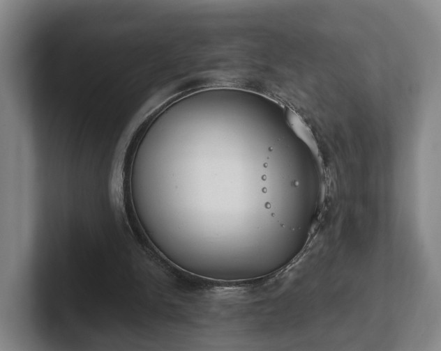 X0000102000150200807251253