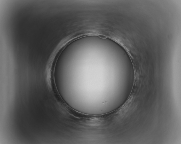 X0000102000151200807251253