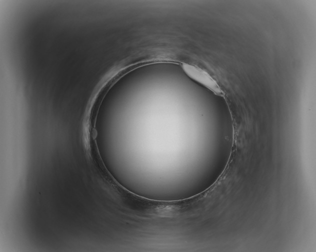 X0000102000152200807251253