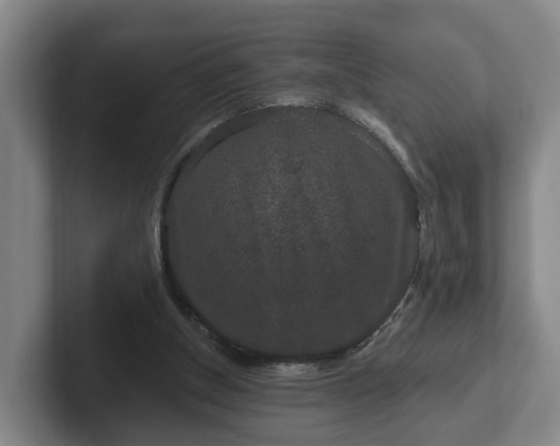 X0000102000154200807251253