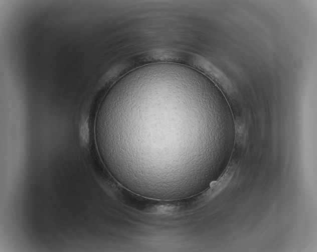 X0000102000158200807251253