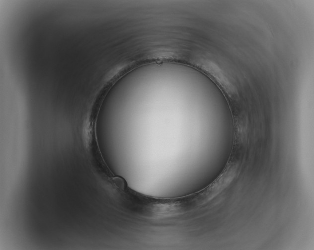 X0000102000160200807251253