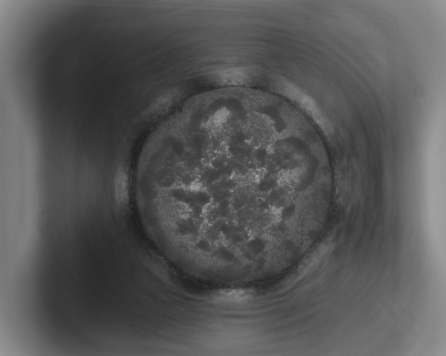 X0000102000161200807251253