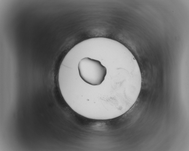 X0000102000162200807251253