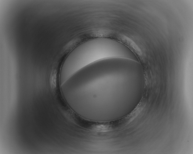 X0000102000163200807251253