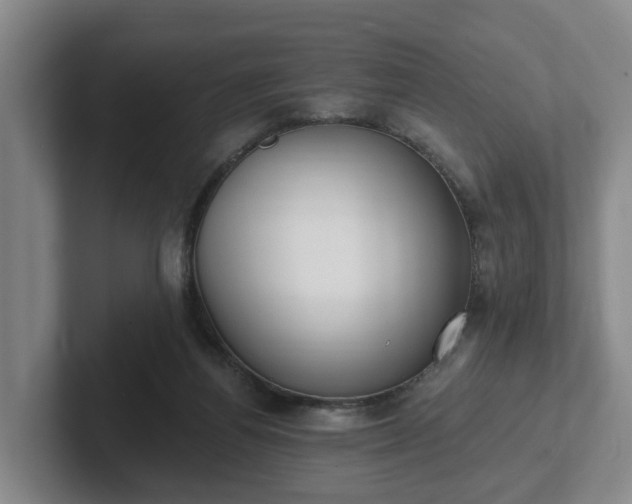 X0000102000164200807251253