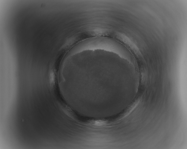 X0000102000165200807251253