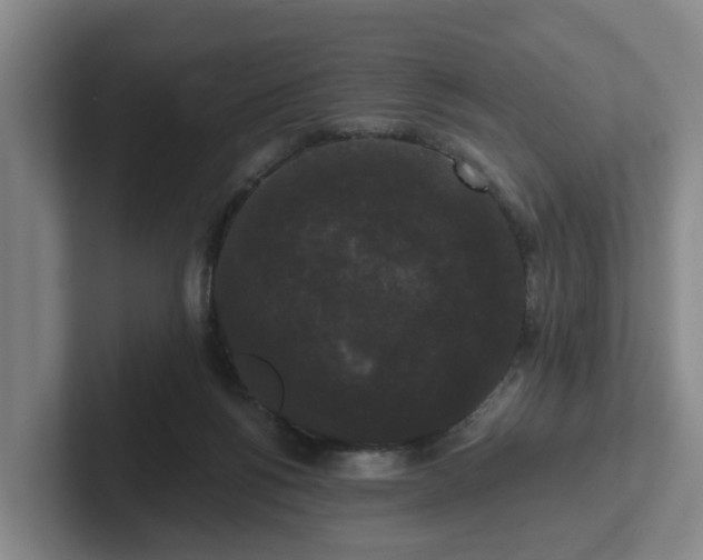 X0000102000168200807251253