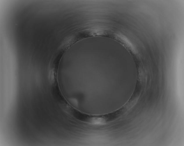 X0000102000169200807251253