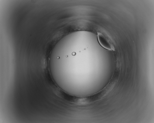 X0000102000173200807251253