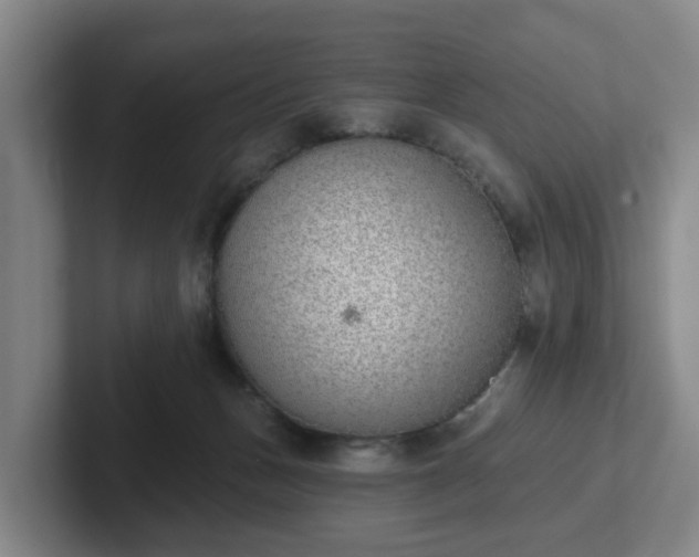 X0000102000175200807251253