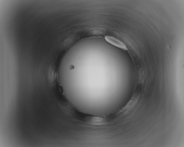 X0000102000176200807251253