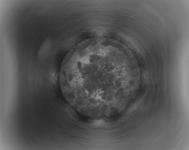 X0000102000177200807251253