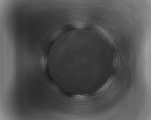 X0000102000180200807251253