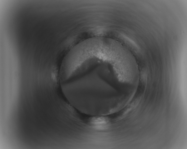 X0000102000181200807251253