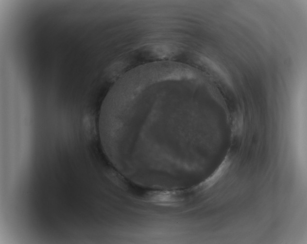 X0000102000182200807251253