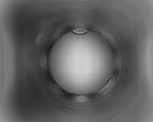 X0000102000183200807251253