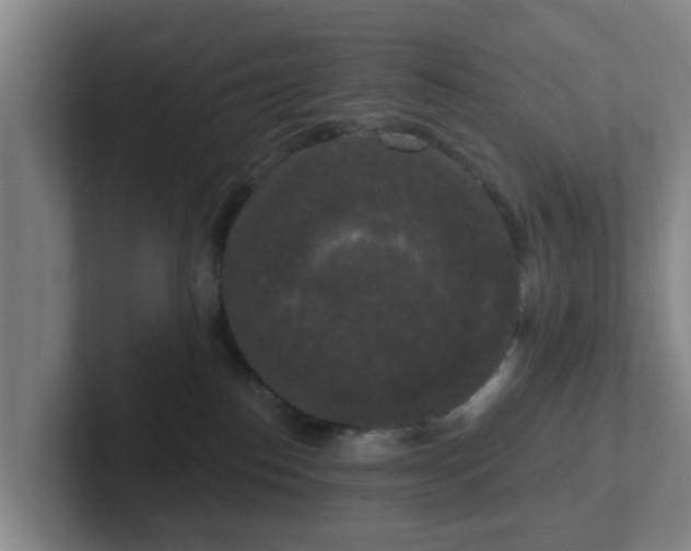 X0000102000186200807251253