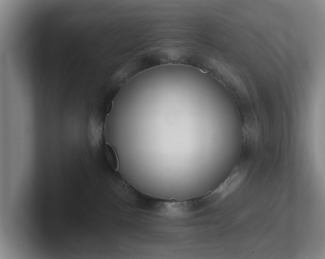 X0000102000188200807251253