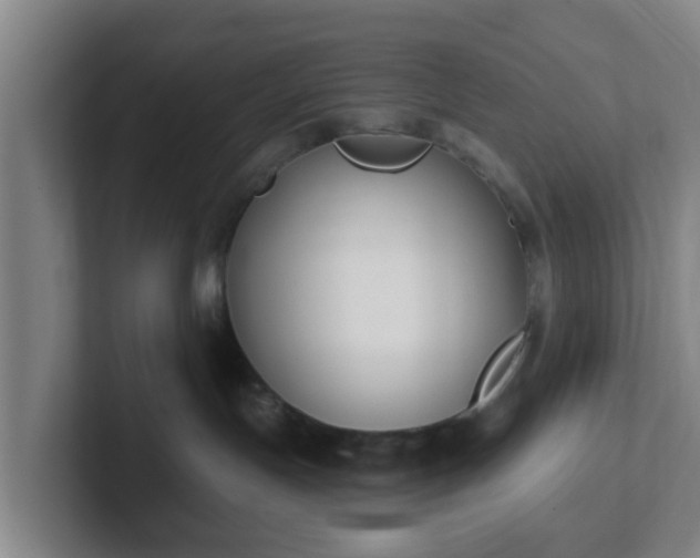 X0000102000191200807251253