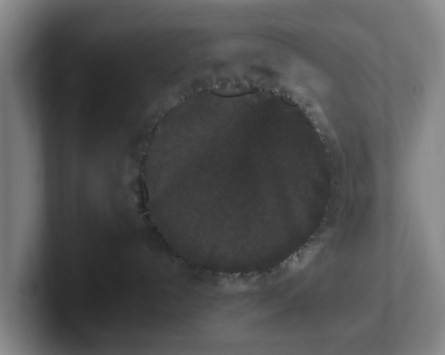 X0000102000192200807251253