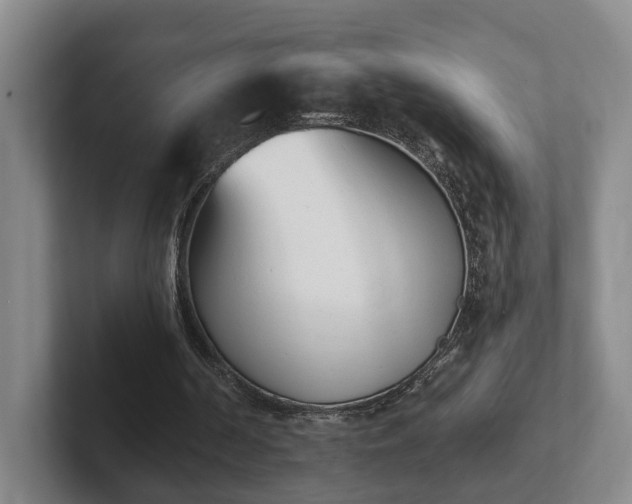 X0000102000194200807251253