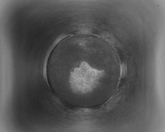 X0000102000195200807251253