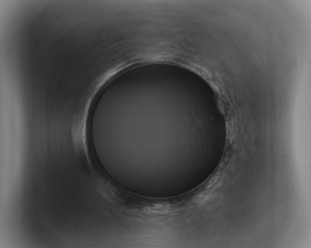 X0000102000196200807251253